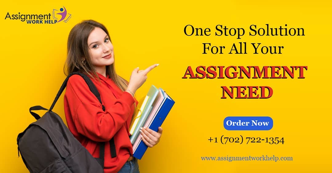 Assignment Work Help USA